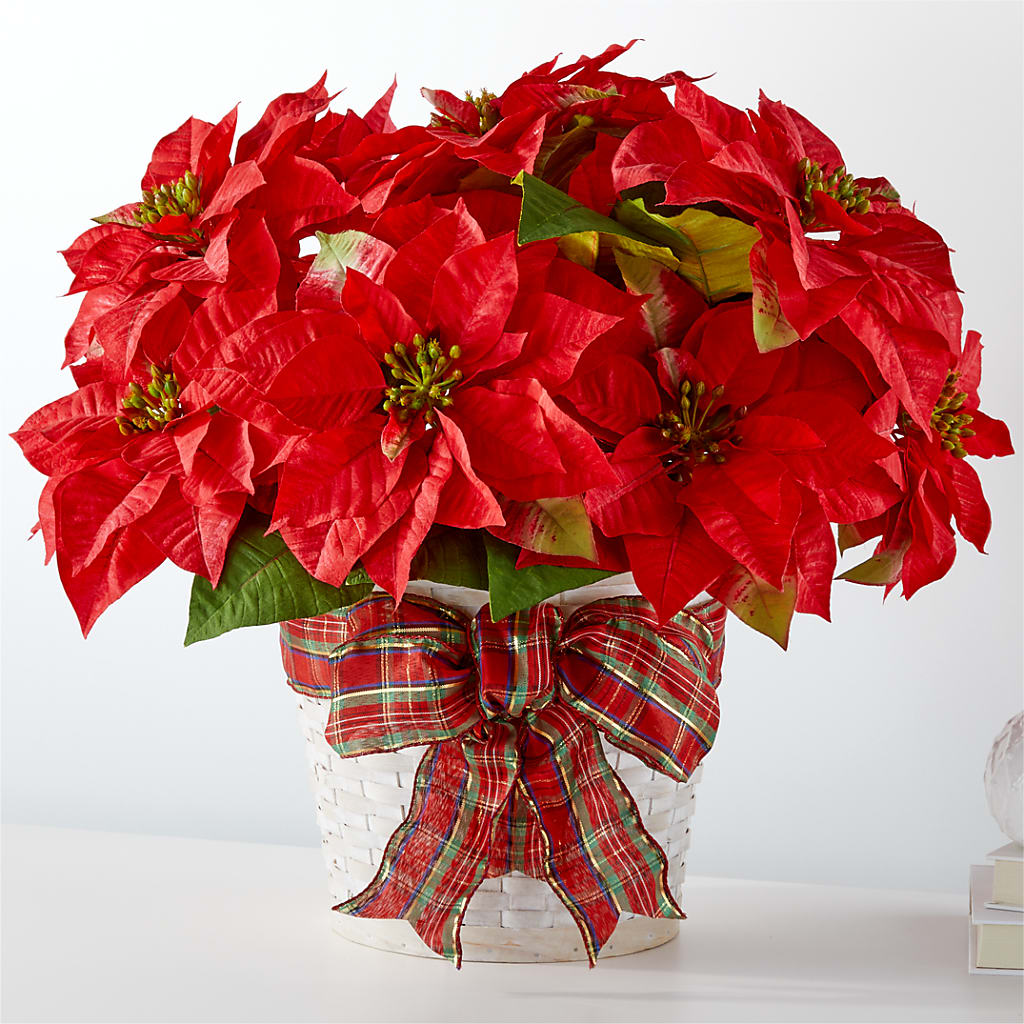 Happiest Holidays Poinsettia – FRENCH'S NEW ALBANY FLOWER SHOP, New Albany MS