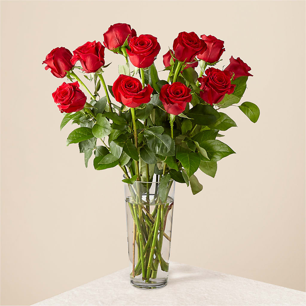 Long Stem Red Rose Bouquet – FRENCH'S NEW ALBANY FLOWER SHOP, New Albany MS