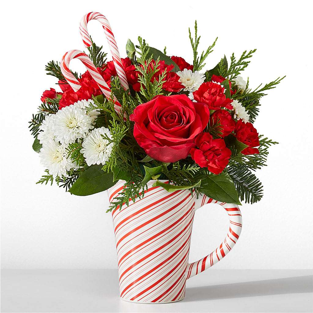Peppermint Swirl Mug – FRENCH'S NEW ALBANY FLOWER SHOP, New Albany MS