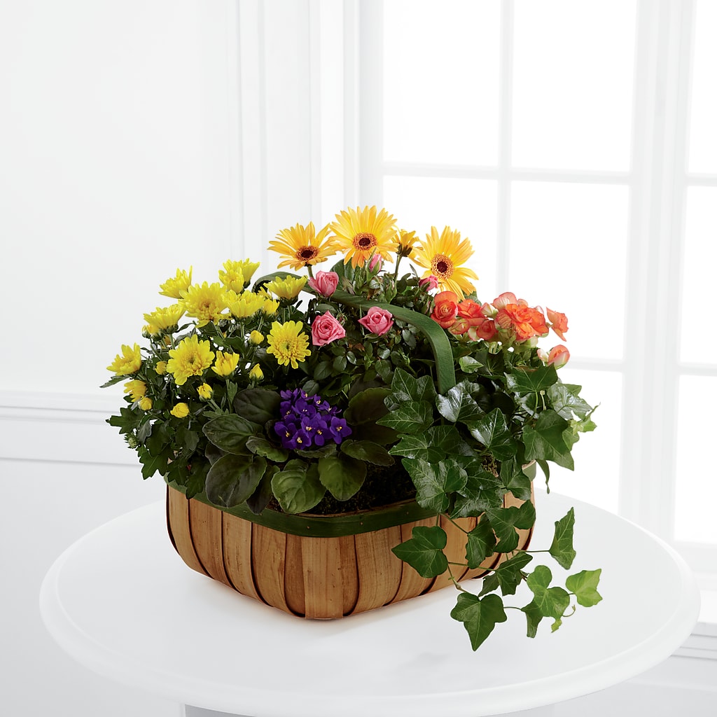 Gentle Blossoms Basket – FRENCH'S NEW ALBANY FLOWER SHOP, New Albany MS