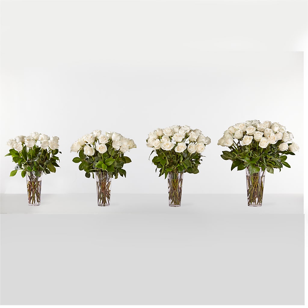 Long Stem White Rose Bouquet – FRENCH'S NEW ALBANY FLOWER SHOP, New Albany MS