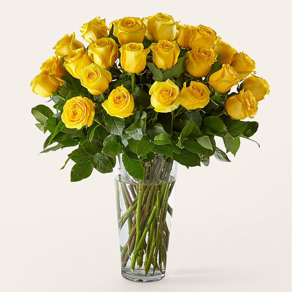 Long Stem Yellow Rose Bouquet – FRENCH'S NEW ALBANY FLOWER SHOP, New Albany MS
