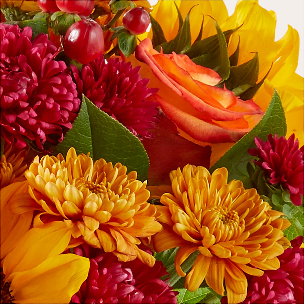 Sweater Season - A Florist Original – FRENCH'S NEW ALBANY FLOWER SHOP, New Albany MS
