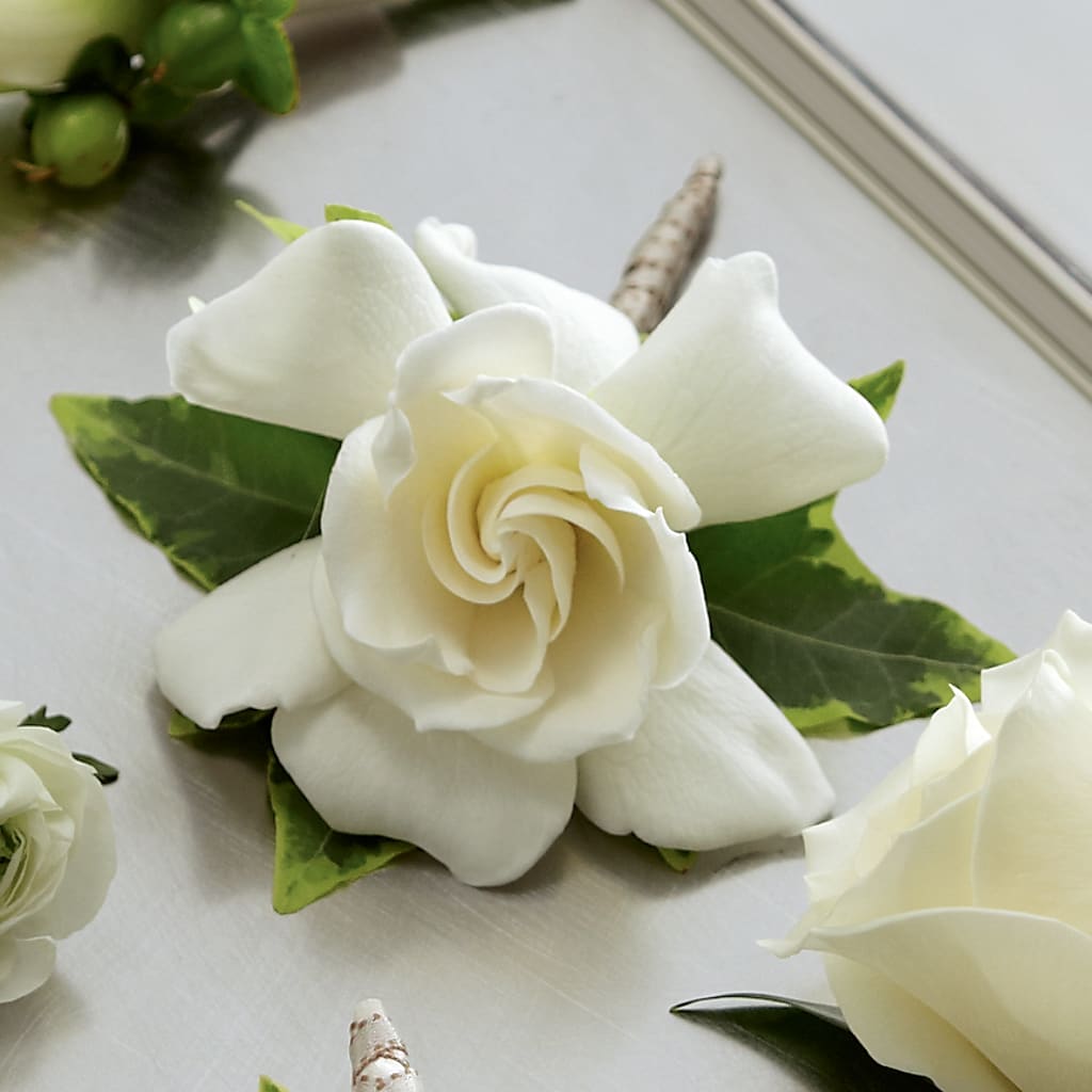 Gardenia Boutonniere – FRENCH'S NEW ALBANY FLOWER SHOP, New Albany MS