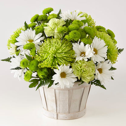 Lucky Charm Basket (Standard) – FRENCH'S NEW ALBANY FLOWER SHOP, New Albany MS