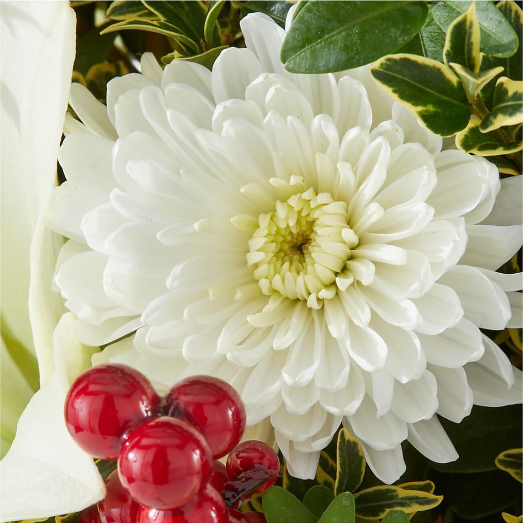 Festive Moments Tree – FRENCH'S NEW ALBANY FLOWER SHOP, New Albany MS