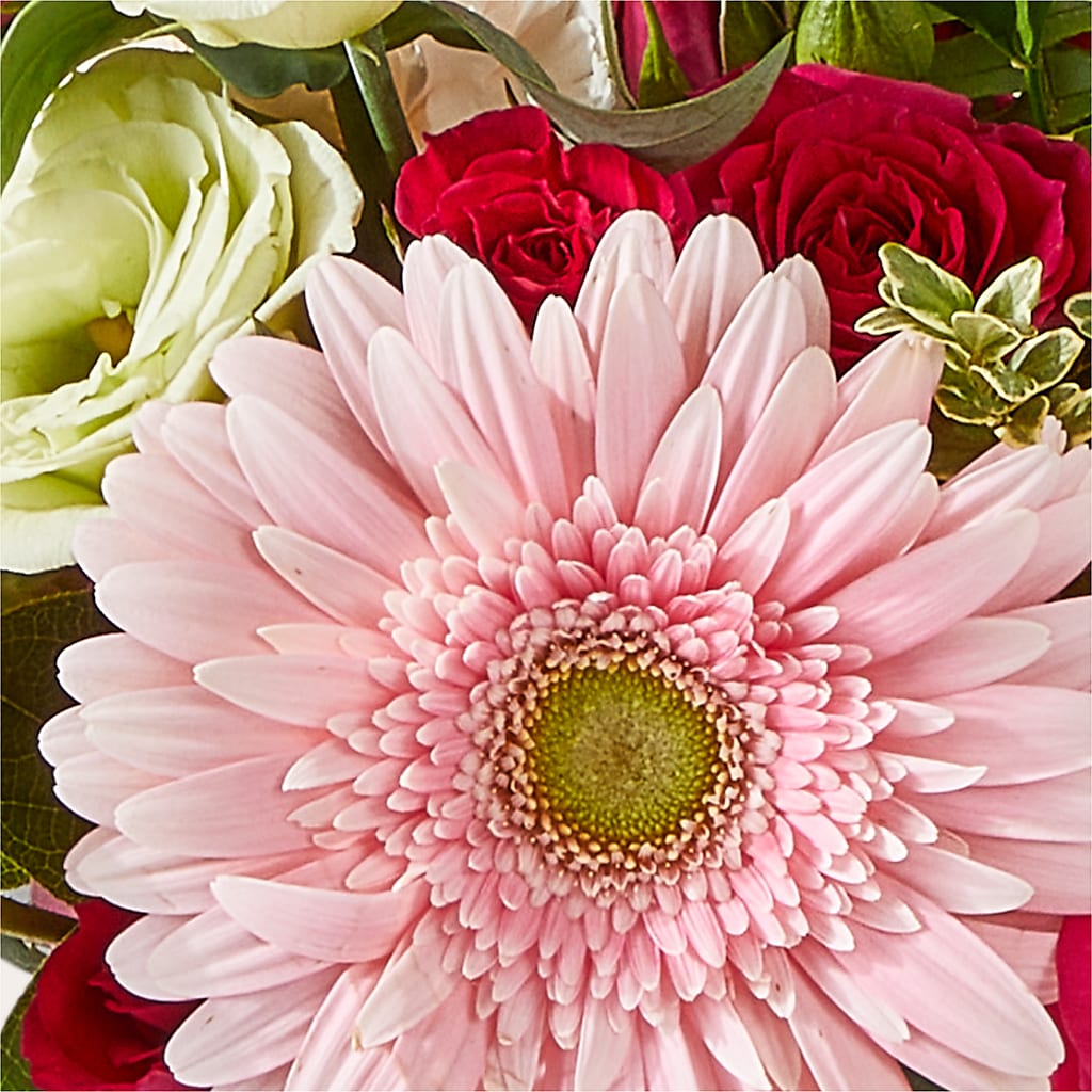 Too Cute Bouquet – FRENCH'S NEW ALBANY FLOWER SHOP, New Albany MS