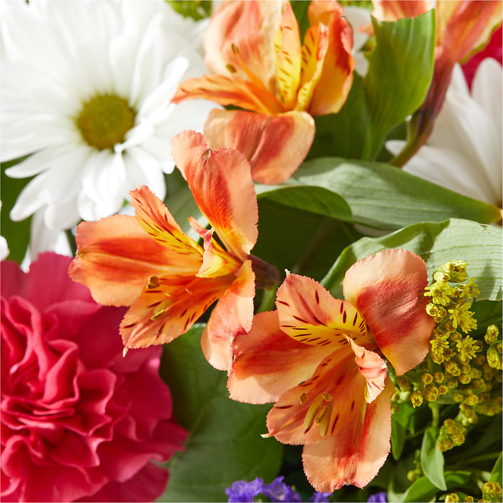 Oopsie Daisy Box Bouquet – FRENCH'S NEW ALBANY FLOWER SHOP, New Albany MS