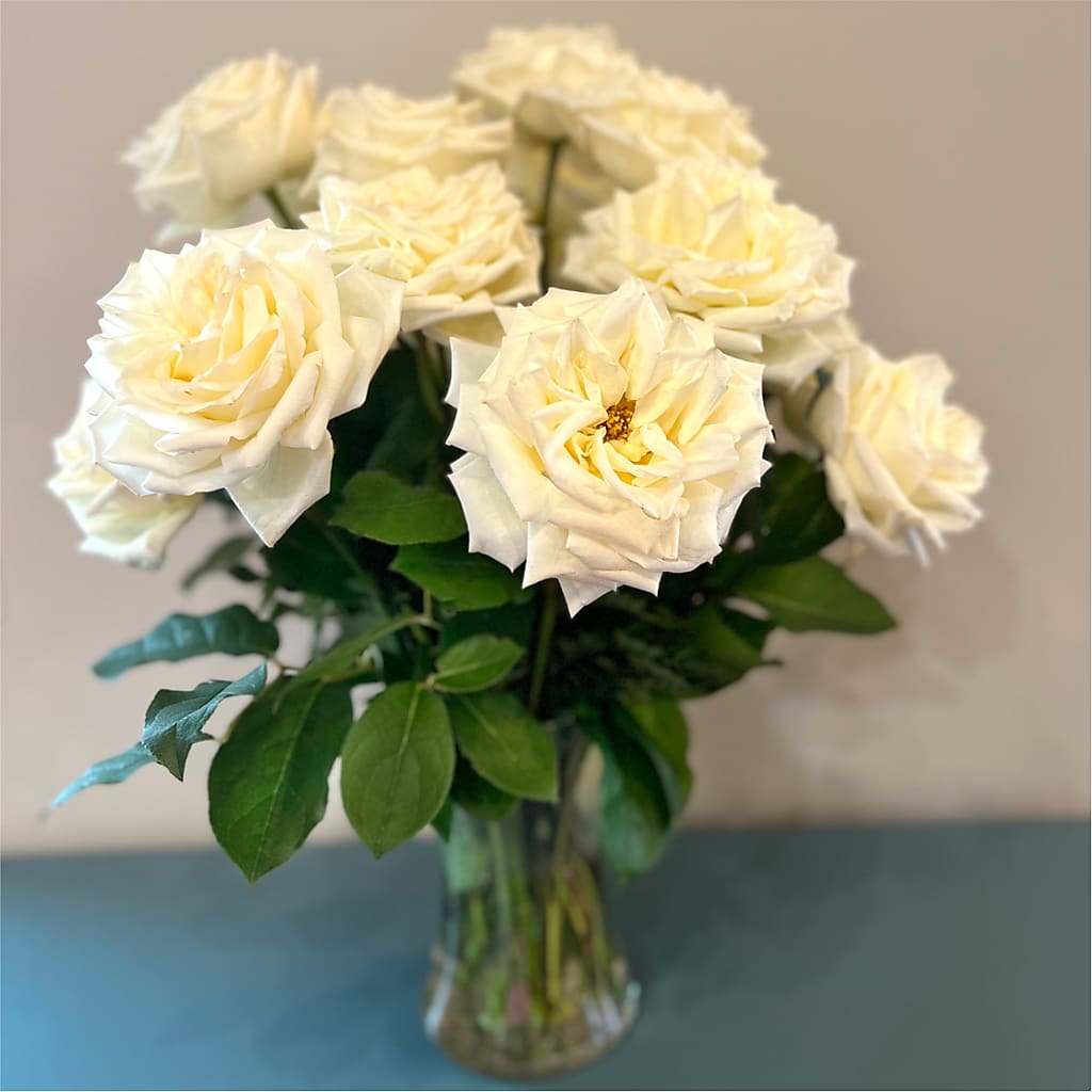 Long Stem Yellow Rose Bouquet – FRENCH'S NEW ALBANY FLOWER SHOP, New Albany MS