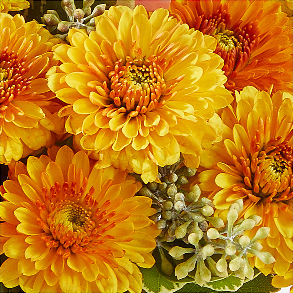Peachy Pumpkin – FRENCH'S NEW ALBANY FLOWER SHOP, New Albany MS