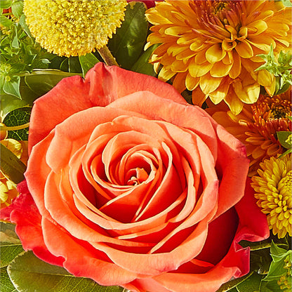 Gourdgeous Pumpkin – FRENCH'S NEW ALBANY FLOWER SHOP, New Albany MS