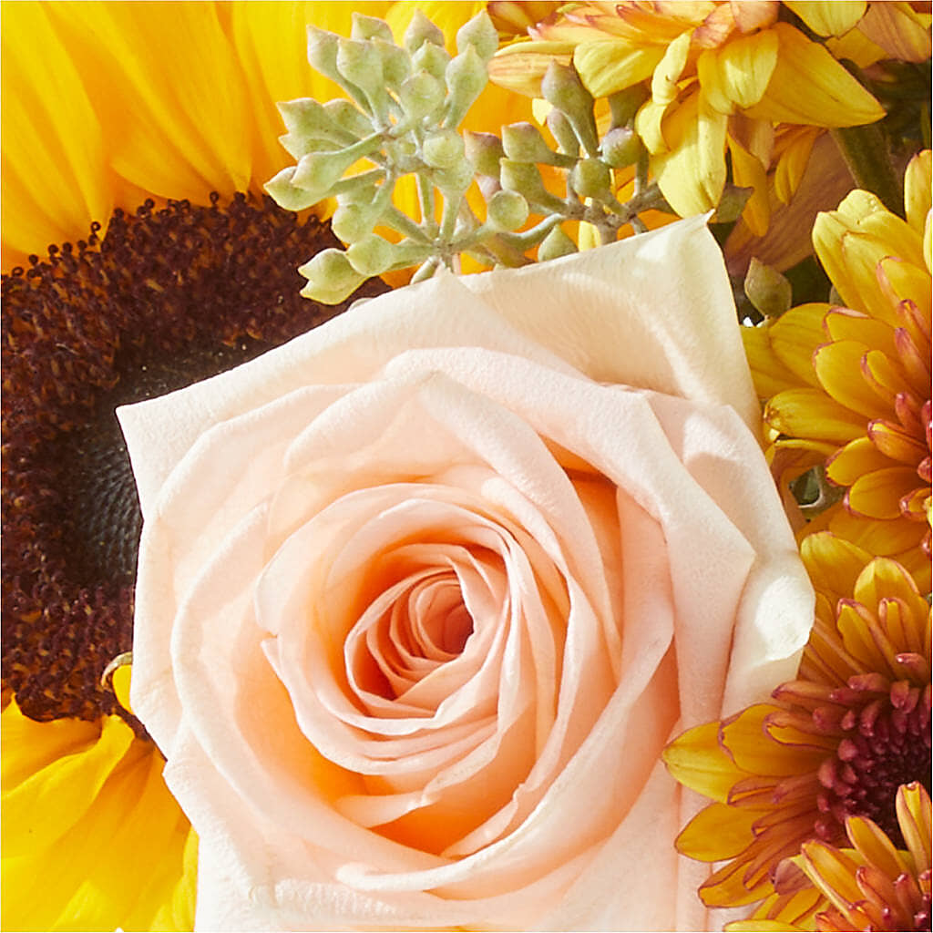 Pumpkin to Talk About Bouquet – FRENCH'S NEW ALBANY FLOWER SHOP, New Albany MS