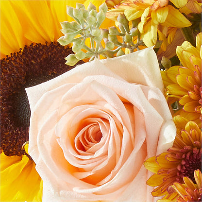 Pumpkin to Talk About Bouquet – FRENCH'S NEW ALBANY FLOWER SHOP, New Albany MS