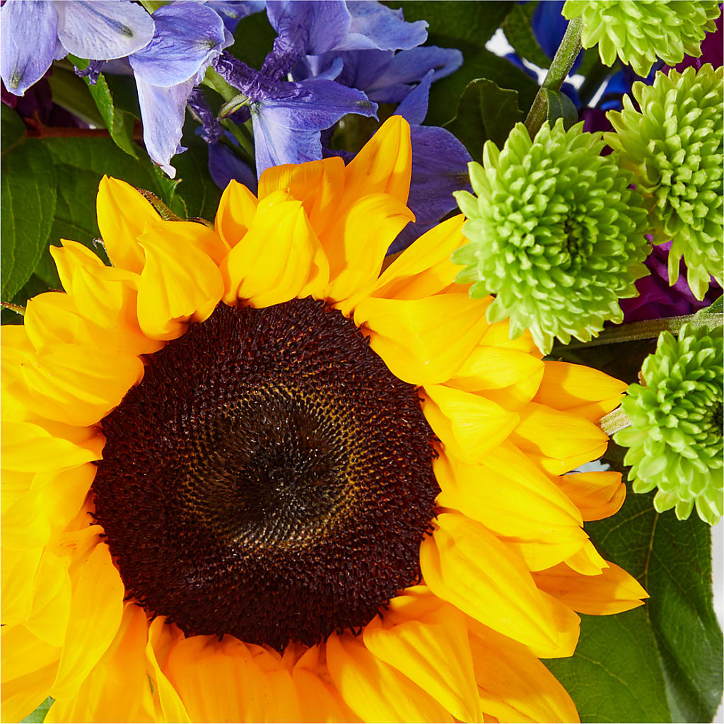Catching Rays Bouquet – FRENCH'S NEW ALBANY FLOWER SHOP, New Albany MS