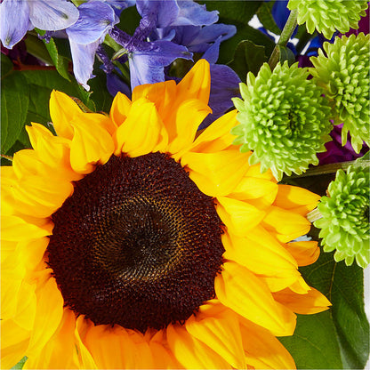 Catching Rays Bouquet – FRENCH'S NEW ALBANY FLOWER SHOP, New Albany MS