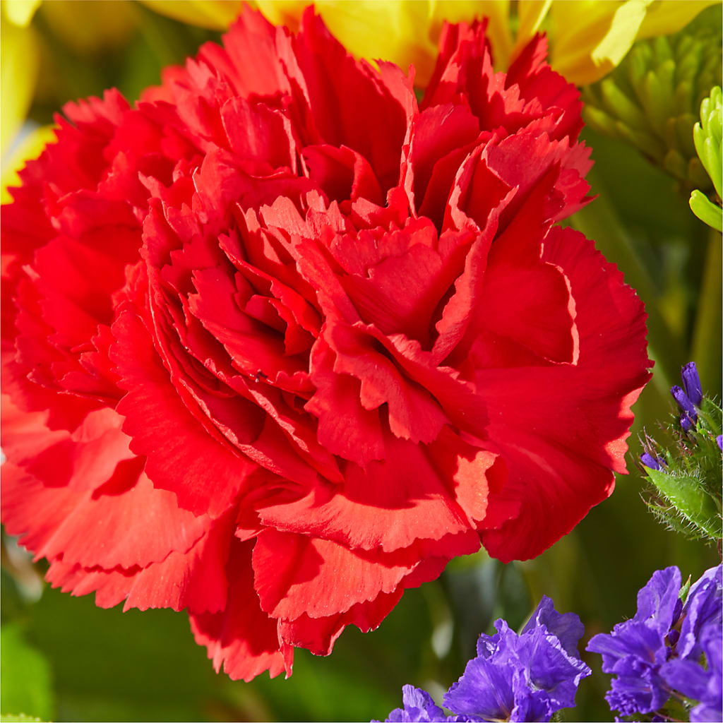 Brighter Days Bouquet – FRENCH'S NEW ALBANY FLOWER SHOP, New Albany MS