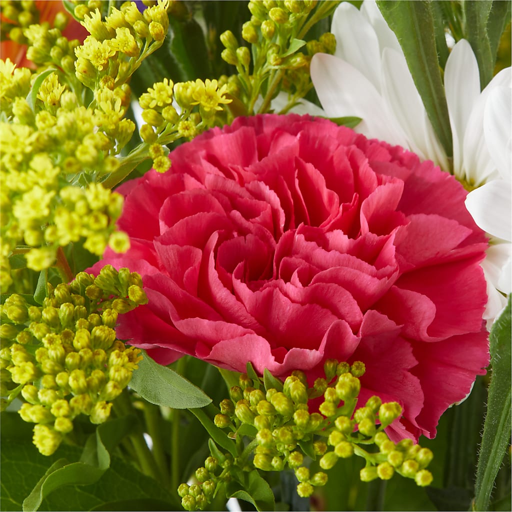 Oopsie Daisy Bouquet – FRENCH'S NEW ALBANY FLOWER SHOP, New Albany MS