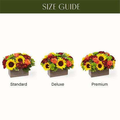 Happy Harvest Garden – FRENCH'S NEW ALBANY FLOWER SHOP, New Albany MS