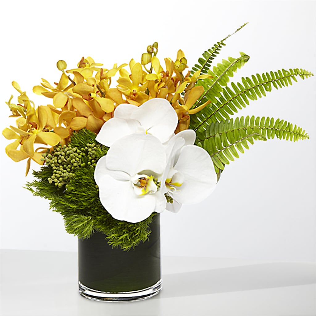 The Tropics – FRENCH'S NEW ALBANY FLOWER SHOP, New Albany MS