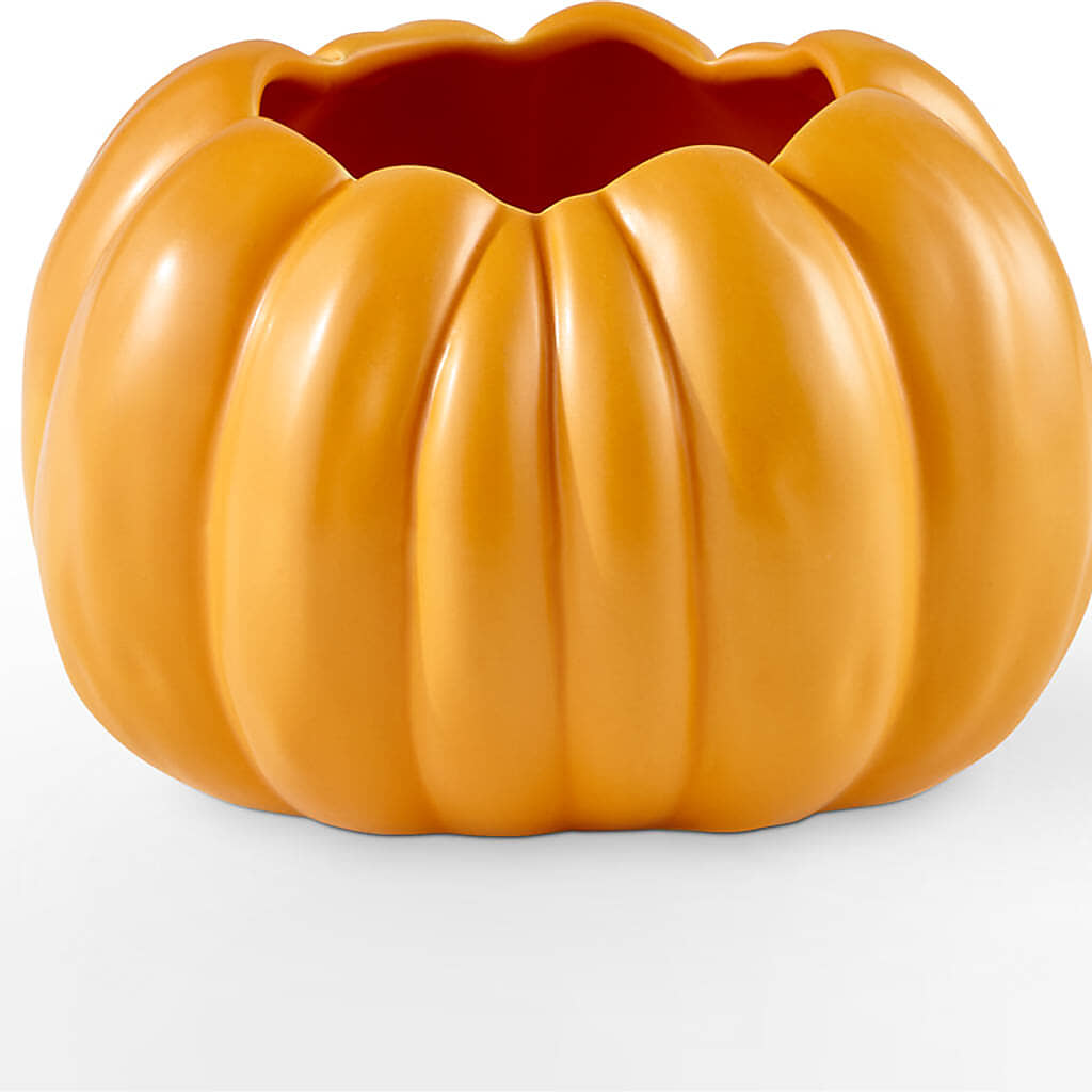 Golden Gourd Pumpkin Bouquet – FRENCH'S NEW ALBANY FLOWER SHOP, New Albany MS