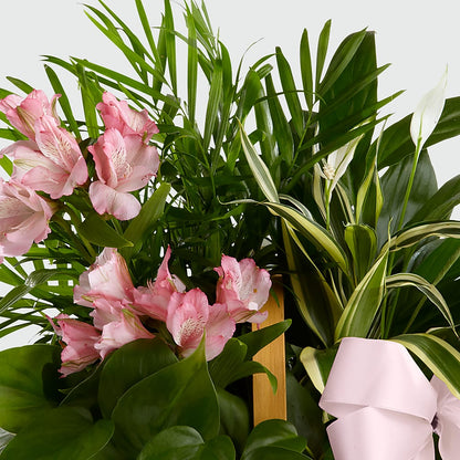 Living Spirit Dishgarden – FRENCH'S NEW ALBANY FLOWER SHOP, New Albany MS