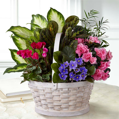 Peaceful Garden Planter – FRENCH'S NEW ALBANY FLOWER SHOP, New Albany MS