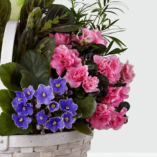Peaceful Garden Planter – FRENCH'S NEW ALBANY FLOWER SHOP, New Albany MS
