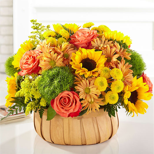 Harvest Sunflower Basket – FRENCH'S NEW ALBANY FLOWER SHOP, New Albany MS