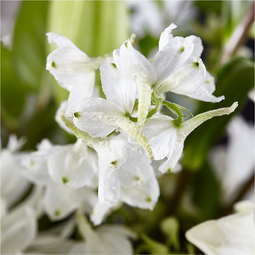 Classic Ivory – A Florist Original – FRENCH'S NEW ALBANY FLOWER SHOP, New Albany MS