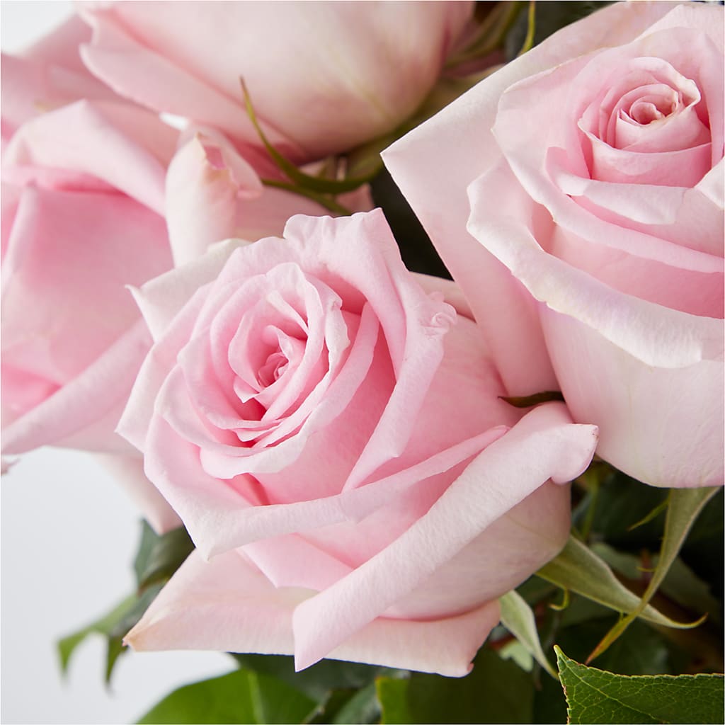 Picture Perfect Pink Rose Bouquet – FRENCH'S NEW ALBANY FLOWER SHOP, New Albany MS