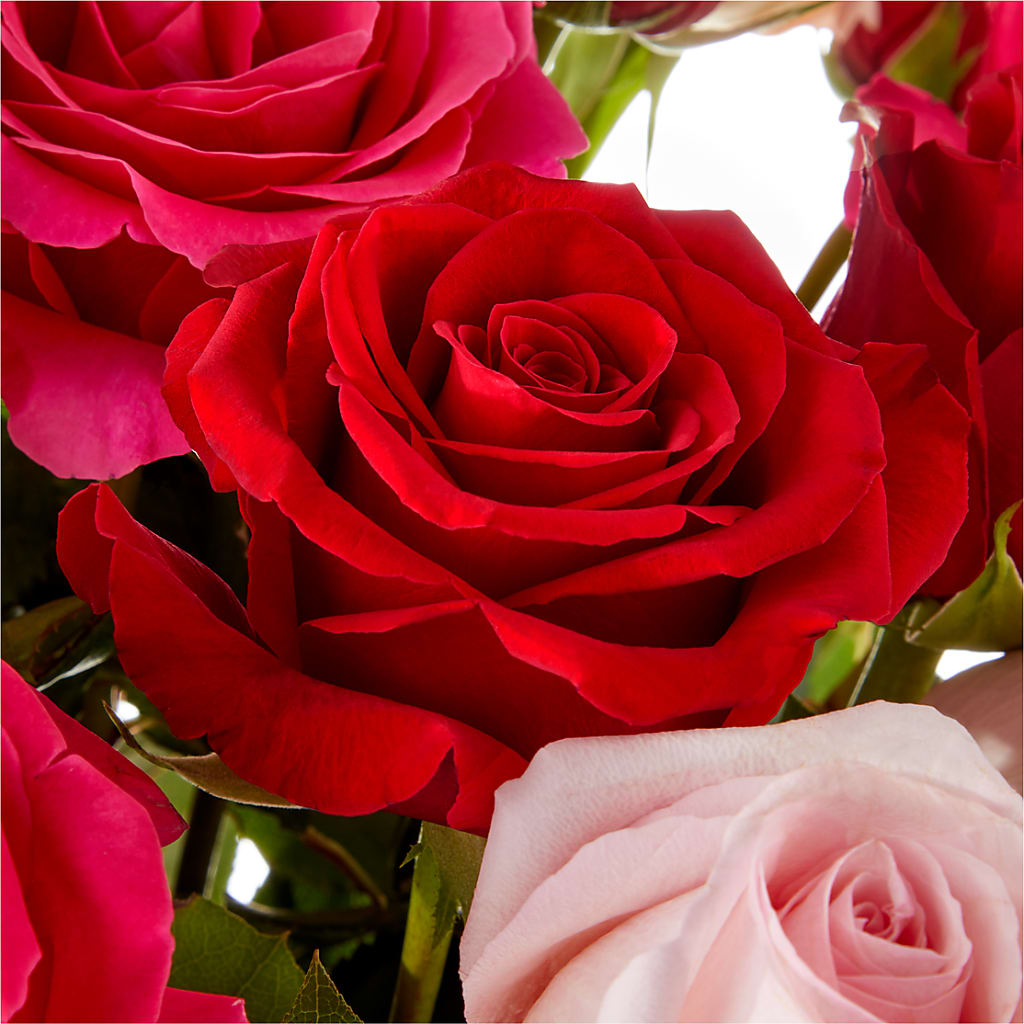 Love Notes Rose Bouquet – FRENCH'S NEW ALBANY FLOWER SHOP, New Albany MS