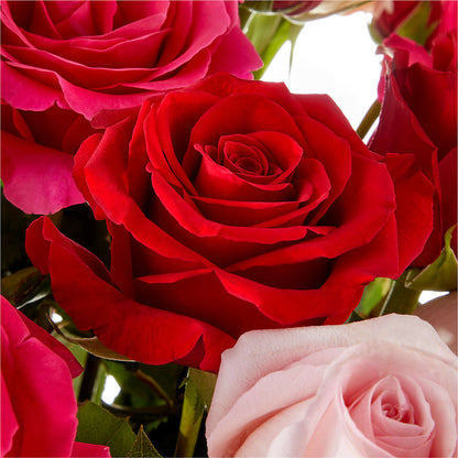 Love Notes Rose Bouquet – FRENCH'S NEW ALBANY FLOWER SHOP, New Albany MS