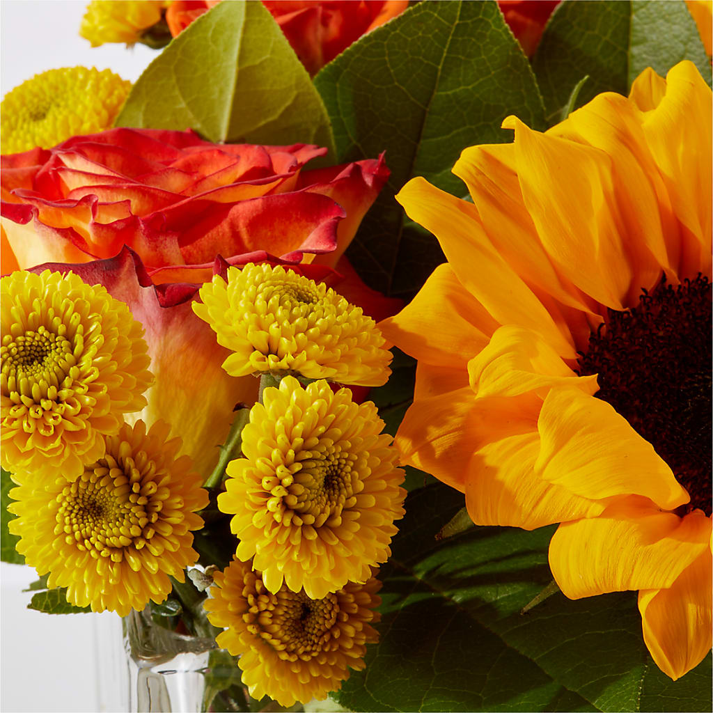 Picnic in the Park Bouquet – FRENCH'S NEW ALBANY FLOWER SHOP, New Albany MS