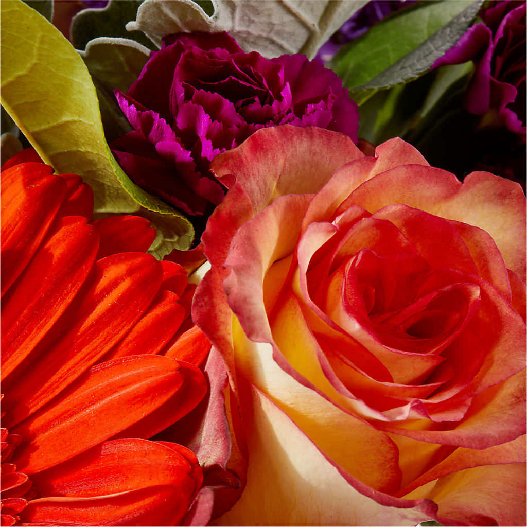 Sangria Bouquet – FRENCH'S NEW ALBANY FLOWER SHOP, New Albany MS