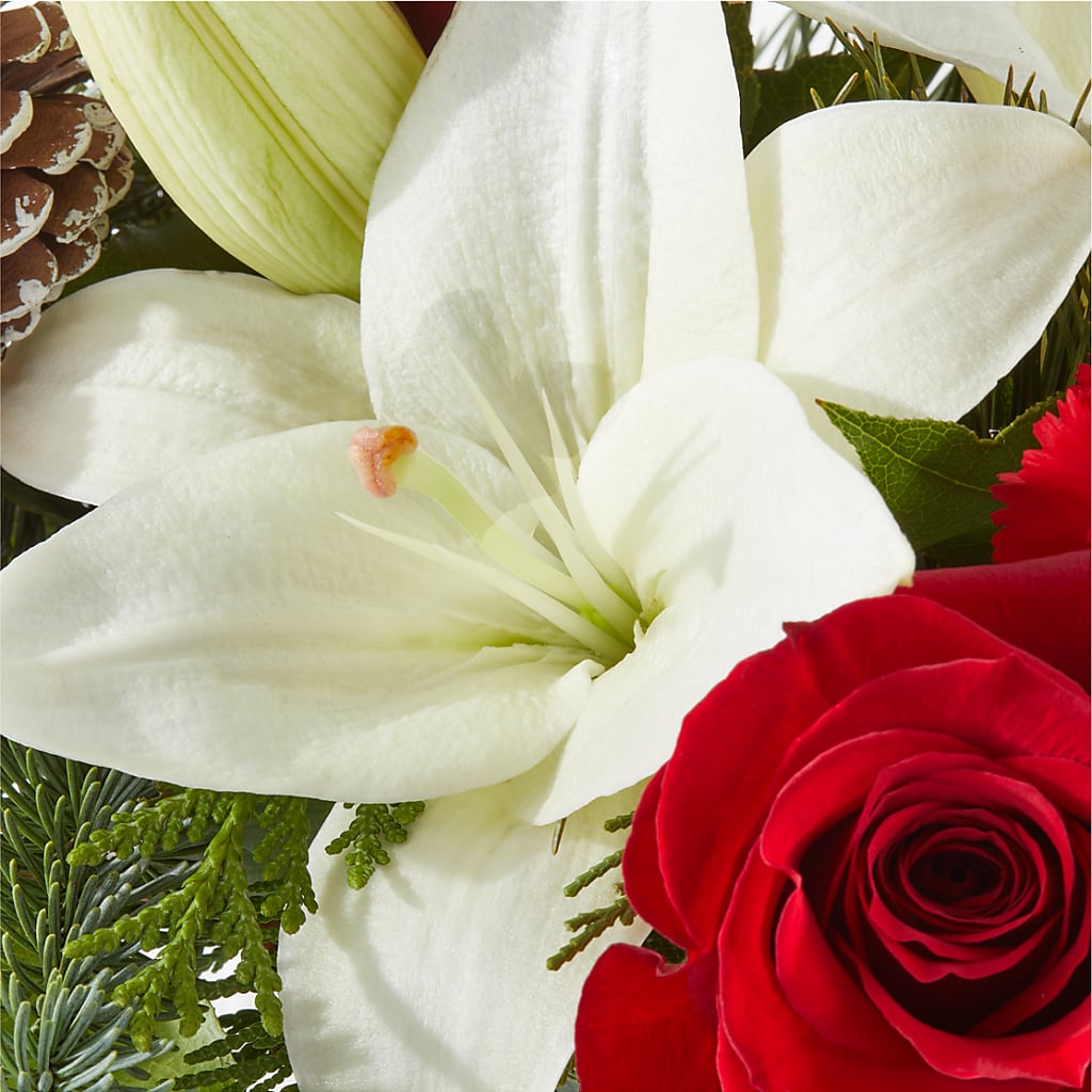 Oh So Jolly Bouquet – FRENCH'S NEW ALBANY FLOWER SHOP, New Albany MS