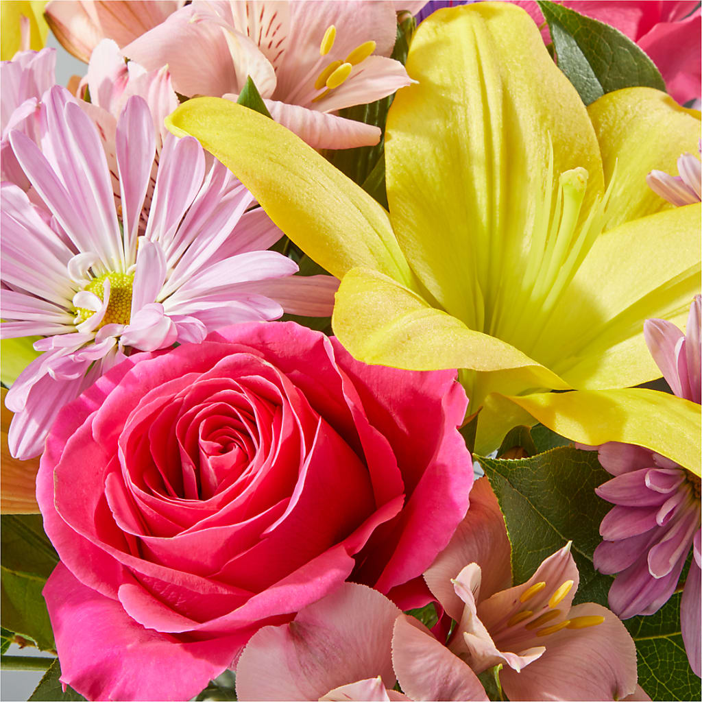 Sprinkles Bouquet – FRENCH'S NEW ALBANY FLOWER SHOP, New Albany MS