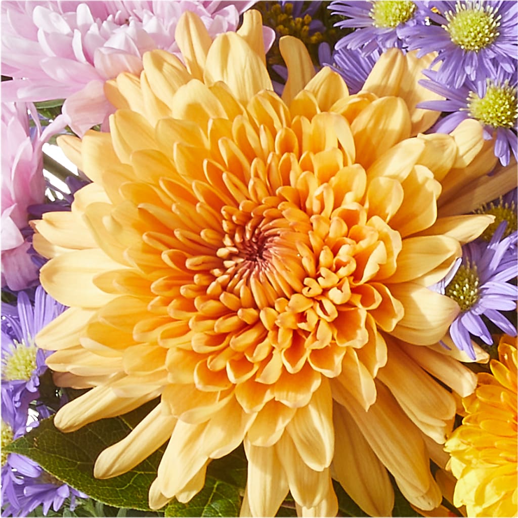 Countryside Bouquet – FRENCH'S NEW ALBANY FLOWER SHOP, New Albany MS