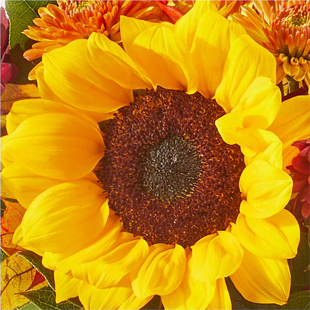 Sunny Side Bouquet – FRENCH'S NEW ALBANY FLOWER SHOP, New Albany MS