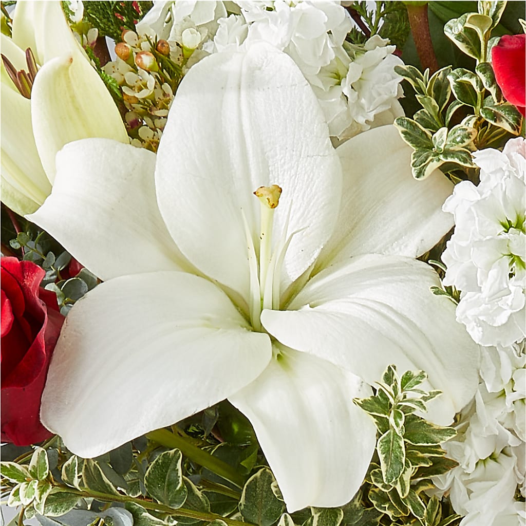 Twinkle Lights Bouquet – FRENCH'S NEW ALBANY FLOWER SHOP, New Albany MS