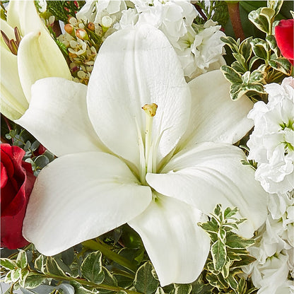 Twinkle Lights Bouquet – FRENCH'S NEW ALBANY FLOWER SHOP, New Albany MS