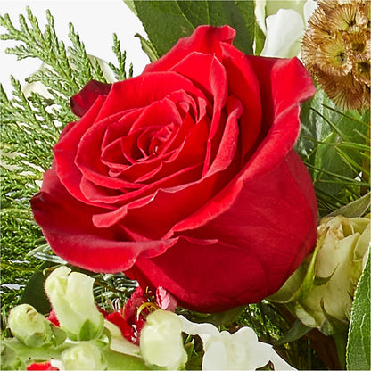 Deck the Halls Bouquet – FRENCH'S NEW ALBANY FLOWER SHOP, New Albany MS