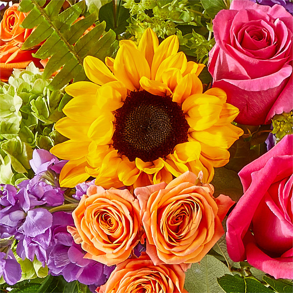 Vibrant Greetings Bouquet – FRENCH'S NEW ALBANY FLOWER SHOP, New Albany MS