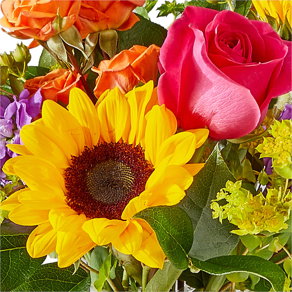 Vibrant Greetings Bouquet – FRENCH'S NEW ALBANY FLOWER SHOP, New Albany MS