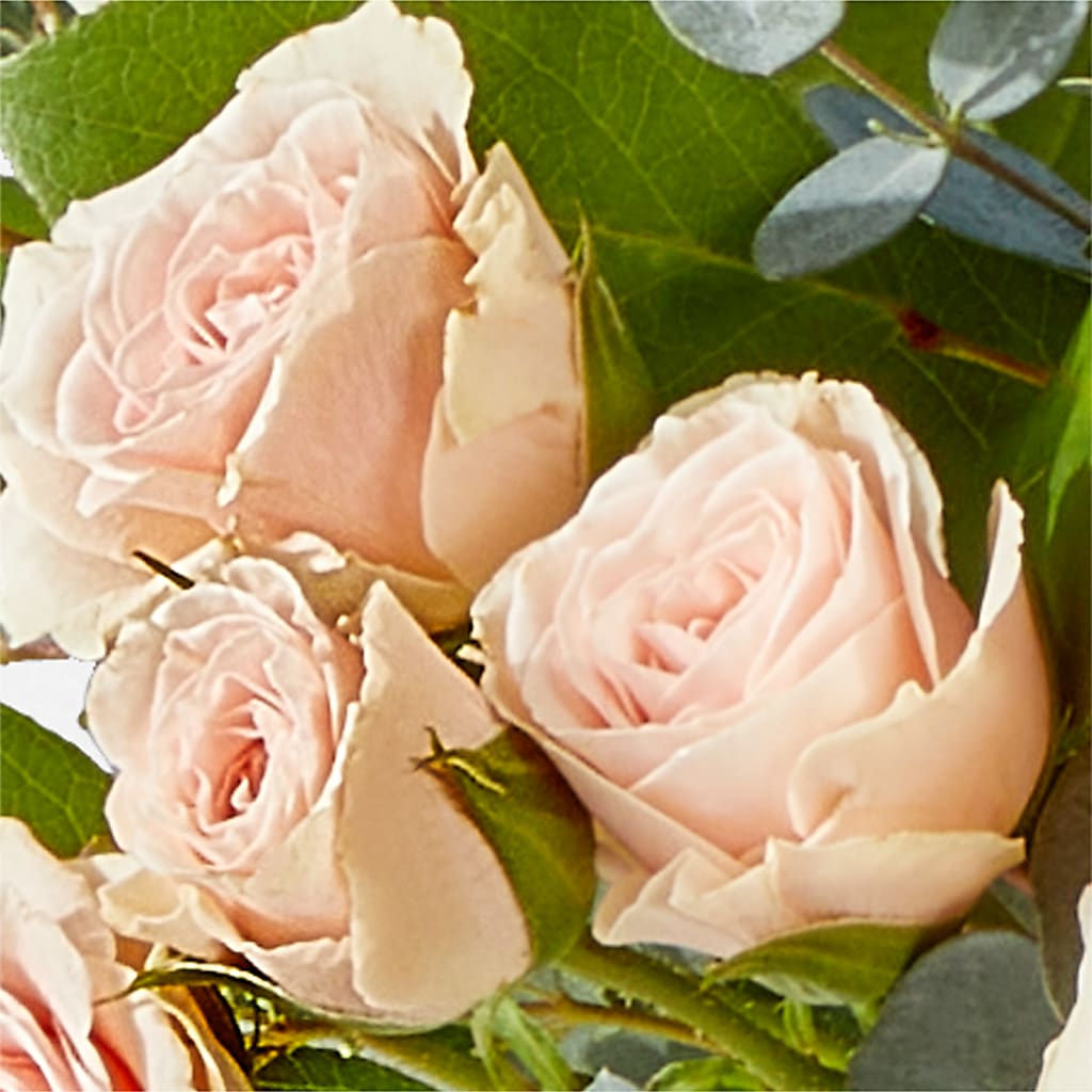 Inspired Bouquet – FRENCH'S NEW ALBANY FLOWER SHOP, New Albany MS