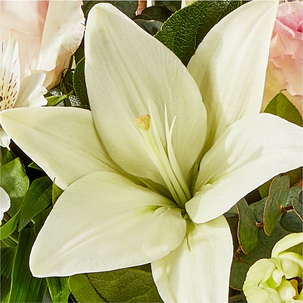 Ballet Slippers Bouquet – FRENCH'S NEW ALBANY FLOWER SHOP, New Albany MS