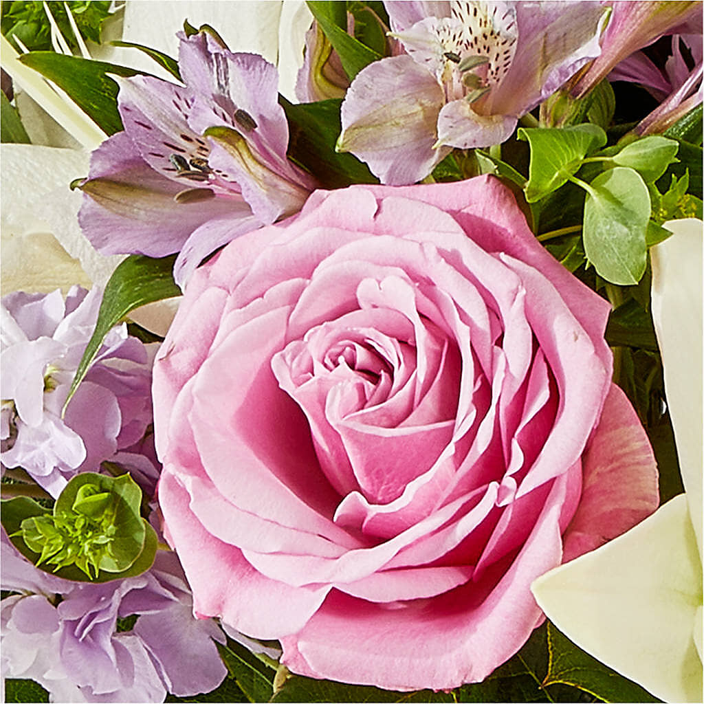 Daydreamer Bouquet – FRENCH'S NEW ALBANY FLOWER SHOP, New Albany MS