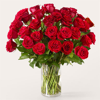 The One Red Rose Bouquet – FRENCH'S NEW ALBANY FLOWER SHOP, New Albany MS