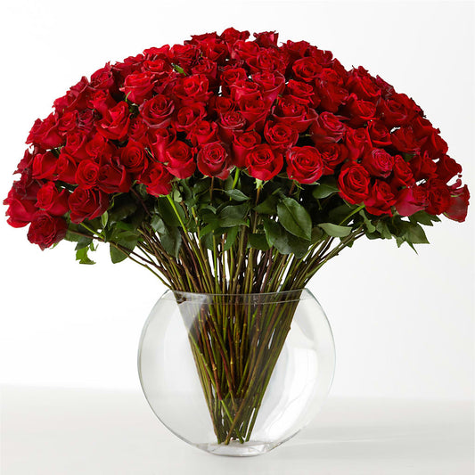 The Idealist – FRENCH'S NEW ALBANY FLOWER SHOP, New Albany MS