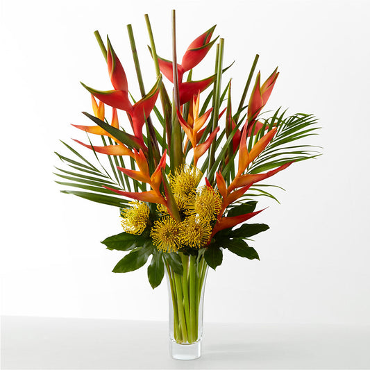 The Drama – FRENCH'S NEW ALBANY FLOWER SHOP, New Albany MS